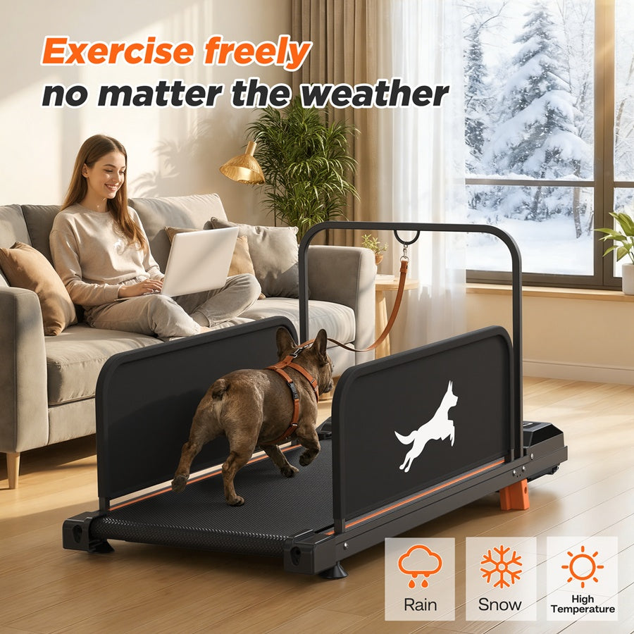 Silent Dog Treadmill — Low Noise EU Edition