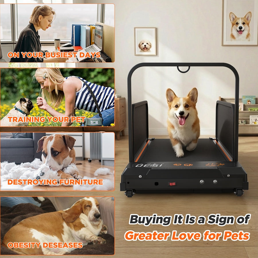 Silent Dog Treadmill — Low Noise EU Edition