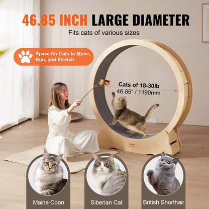 Silent Cat Exercise Wheel — Birch Wood